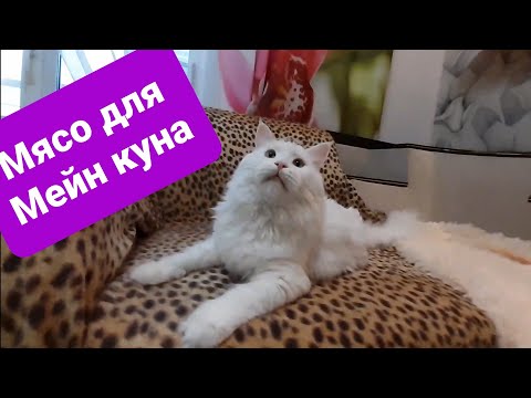 Видео: Мейн кун. Кушаем мясо.