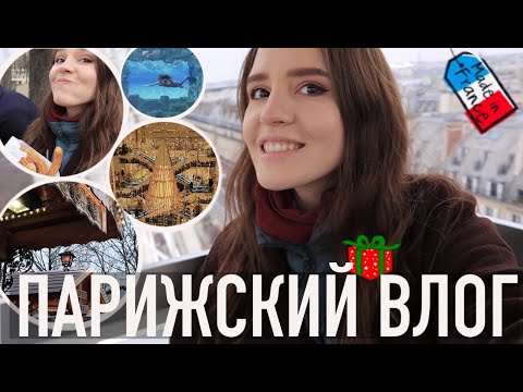 Видео: 🎄РОЖДЕСТВЕНСКИЕ ЯРМАРКИ😍ПАРИЖ С ВЫСОТЫ, НАСТОЯЩАЯ РУСАЛКА И ПРАЗДНИЧНЫЕ ВИТРИНЫ🌟