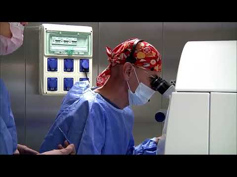Видео: Секция "Живая хирургия"