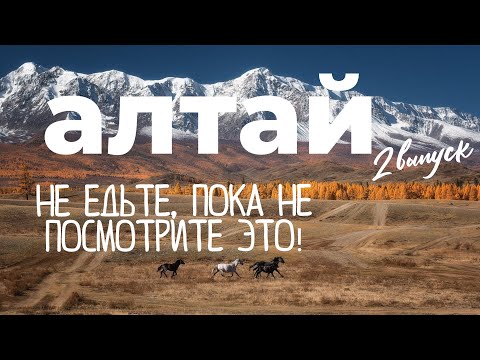 Видео: 🍂ОСЕНЬ НА АЛТАЕ: 🎣 ХАРИУС, 🚌АВТОДОМ И НЕВЕРОЯТНЫЕ ПЕЙЗАЖИ ГОРНОГО АЛТАЯ🏔️ !