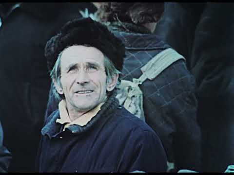 Видео: Голубиная охота - док. фильм