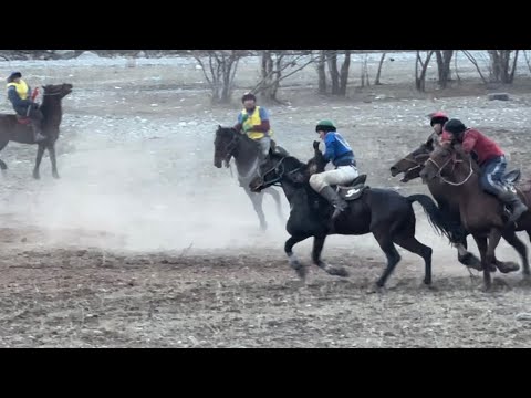 Видео: Кабылан - Көл & Корул.  Көк бөрү