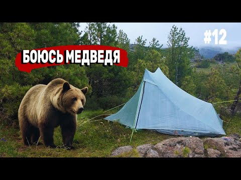 Видео: Мокрый МЕДВЕДЬ встретился на месте ТРАГЕДИИ группы КОРОВИНОЙ. Центральный Хамар-Дабан. Серия 12
