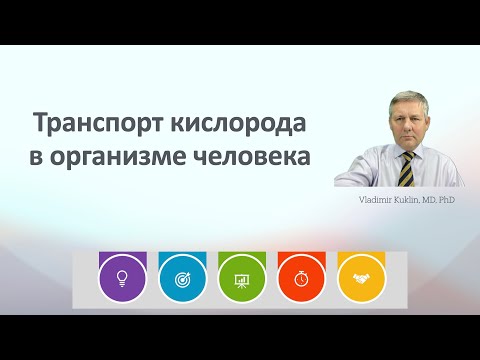 Видео: Транспорт кислорода в организме человека