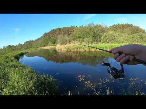 Видео: Утреннее блаженство. Рыбалка на малой реке.