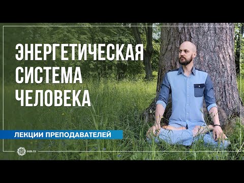 Видео: Энергетическая система человека. Чакры и потоки. Дмитрий Успехов