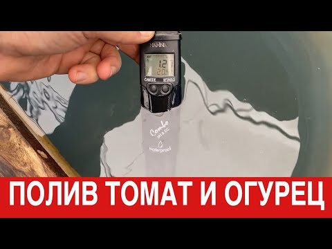 Видео: Первый полив и температурный режим рассады томата