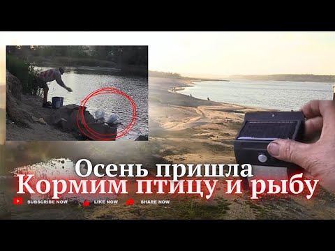 Видео: С 16 по 17 сент. жизнь в городе Запорожье. Озера, реки, дороги.