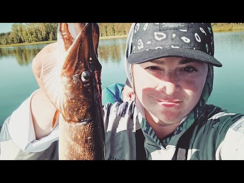 Видео: Желанная рыбалка, огненный окунь и королевский чебурек в казане