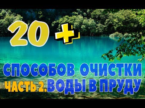 Видео: 20+ СПОСОБОВ ОЧИСТКИ ВОДЫ В ПРУДУ. ЧАСТЬ 2 | Скиммер, барабанный фильтр, биофильтр, торф, перекись