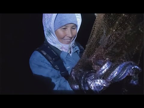 Видео: Ночью ЗА РЫБОЙ на морской прибой.