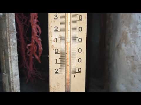 Видео: Как начинается утро в моем курятнике 