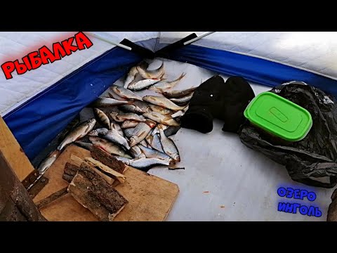 Видео: ЛОВИМ РЫБУ НА ОЗЕРЕ ИНГОЛЬ