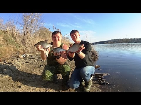 Видео: С Рыбалкой на Ты! выпуск №5. Открытие сезона, Москва река.  Ловля на фидер.