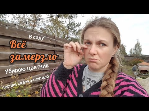 Видео: Замёрзший участок: убираю последствия заморозков и вдохновляюсь осенним лесом