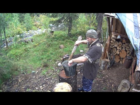 Видео: Бродяги в тайге. 17 дней в диких условиях.  Заключительная часть.