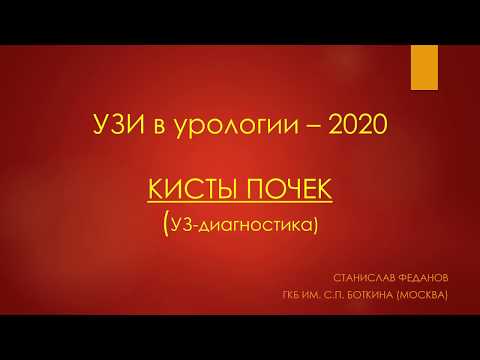 Видео: УЗ-диагностика кист почек (подробно). УЗИ в урологии-2020 (минисерии) Станислав Феданов