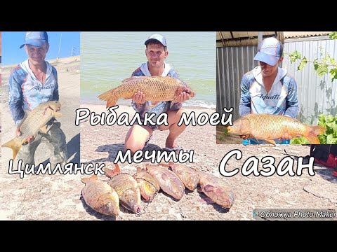 Видео: Рыбалка моей мечты. Трофейные сазаны. Цимлянск. июль 2025 года