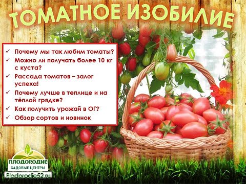 Видео: Томатное изобилие. ЧАСТЬ 1 - Секрет народной любви.