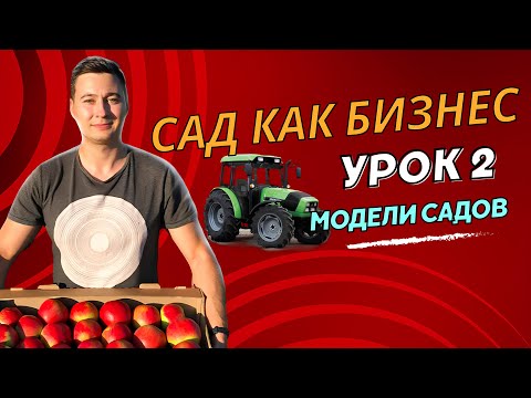 Видео: Яблоневый сад / Типы садов / Как заработать ?