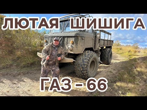 Видео: ЛЮТАЯ ШИШИГА / ГАЗ 66 ДИЗЕЛЬ НА КОЛЕСЕ 1300