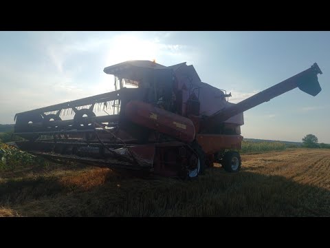 Видео: Збір пшениці завершили врожайність радує Палессе 812сх  налаштували