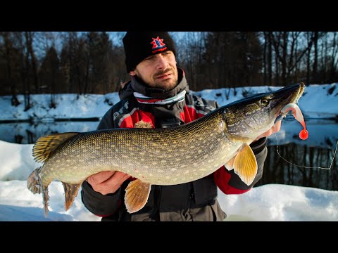 Видео: Преднерестовый жор щуки уже начался!? Ловля на малой реке весной, зимний спиннинг [Пора ловить щуку]