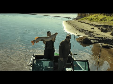 Видео: РЫБАЛКА В СИБИРИ . КАРГАСОК,    СЕНТЯБРЬ 2022