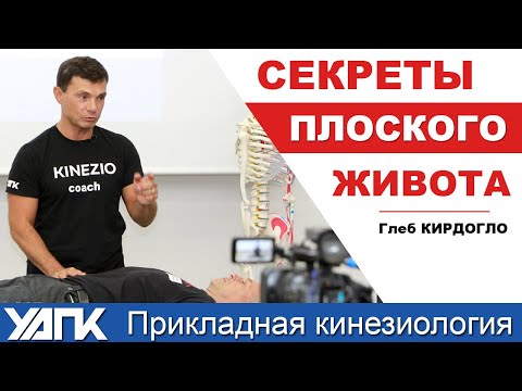 Видео: Как кинезиологи тестируют мышцы живота  (Кирдогло Г.К.)