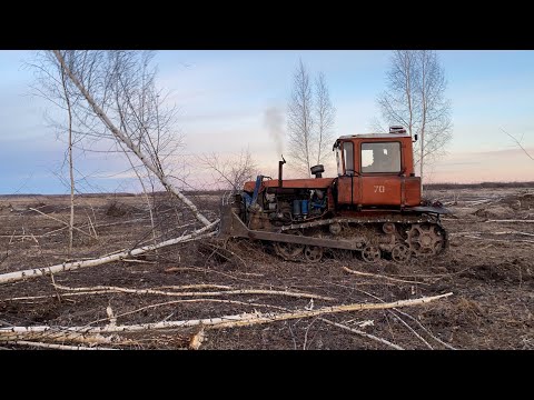 Видео: ДТ-75. Натянул гусеницу. Корчую березы.
