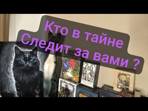 Видео: 🔮КТО В ТАЙНЕ СЛЕДИТ ЗА ВАМИ ? 🤫