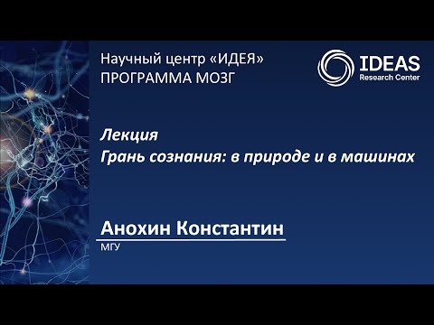 Видео: Лекция К.В. Анохина. Грань сознания: в природе и машинах