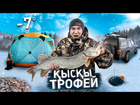 Видео: 24-САҒАТ ІШІНДЕ ҚЫСҚЫ ТРОФЕЙ ҰСТАУ