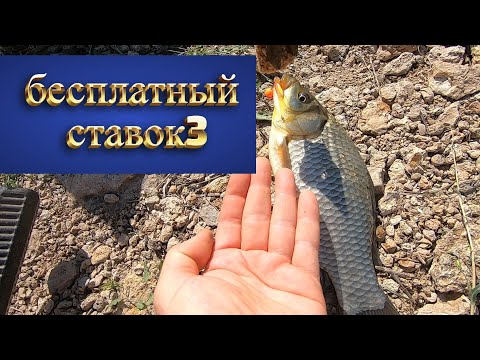 Видео: бесплатный ставок 3