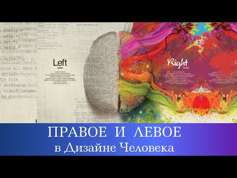 Видео: Правый и Левый Ум в Дизайне Человека.