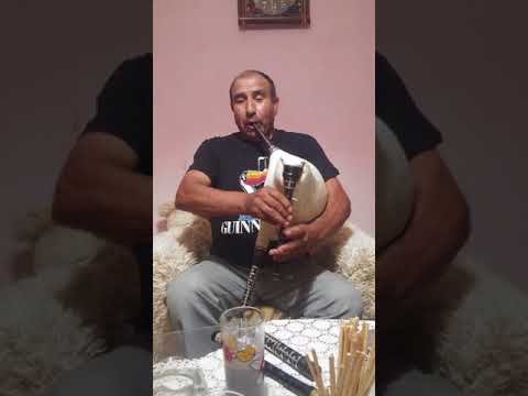 Видео: Петко Гавраилово