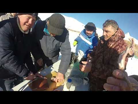 Видео: Казахстан. Жезказган. Сатпаев. Братский выезд 2025!