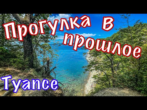 Видео: Жена Булгакова. Братские могилы ВОВ. Скала Киселёва. Прогулка по кладбищам.