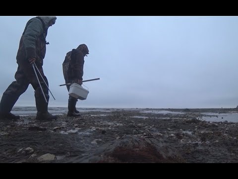 Видео: Морские ПОХОЖДЕНИЯ во всеоружии.. Что съел Вова.. ?