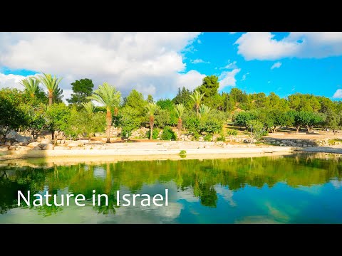 Видео: Библейский и современный Израиль. У подножия Иерусалима. Аялон Канада Парк