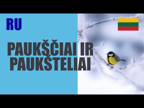 Видео: ЛИТОВСКИЙ ЯЗЫК - 93 - PAUKŠČIAI IR PAUKŠTELIAI