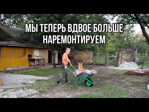 Видео: Новые знакомства, мы в шоке.#переездвсербию #жизньзаграницей #ремонт #србија
