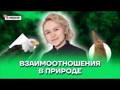 Видео: Взаимоотношения в природе | Биология ОГЭ 2022 | Умскул