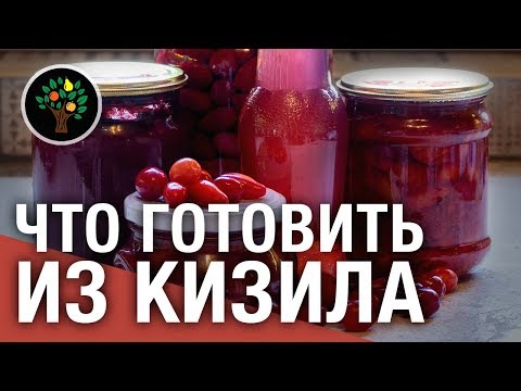 Видео: Кизил: что из него можно приготовить