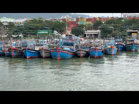 Видео: Северный Дананг — рыболовный порт Тхо Куанг, Вьетнам