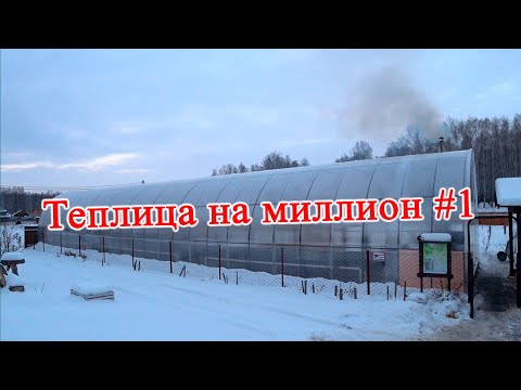 Видео: Теплица на миллион #1