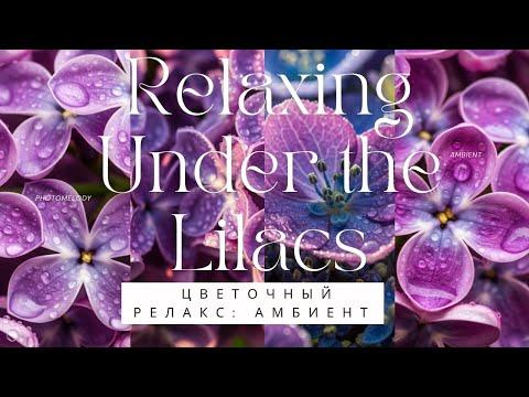 Видео: Music for Meditation: Ambient Blooms/Эмбиент-Музыка и Природа: Полное Расслабление. Сирень, Черемуха