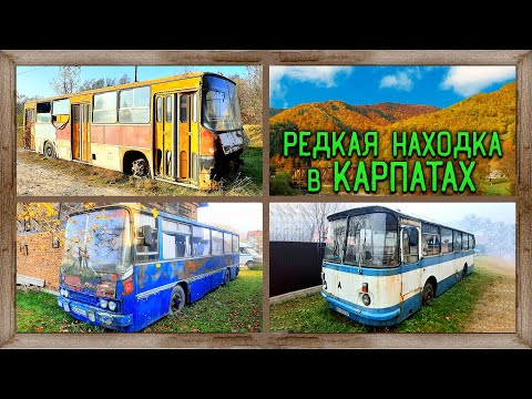 Видео: Найден Икарус МОСГОРТРАНСА в горах Карпат IKARUS 260 или 280? а так же найдены IKARUS 255 и ЛАЗ 695Н