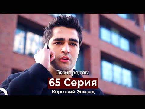 Видео: Зимородок 65 Cерия (Короткий Эпизод) (Русский дубляж)