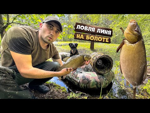 Видео: Поставил верши на болоте и офигел. Сделал мини пруд для вьюнов в лесу